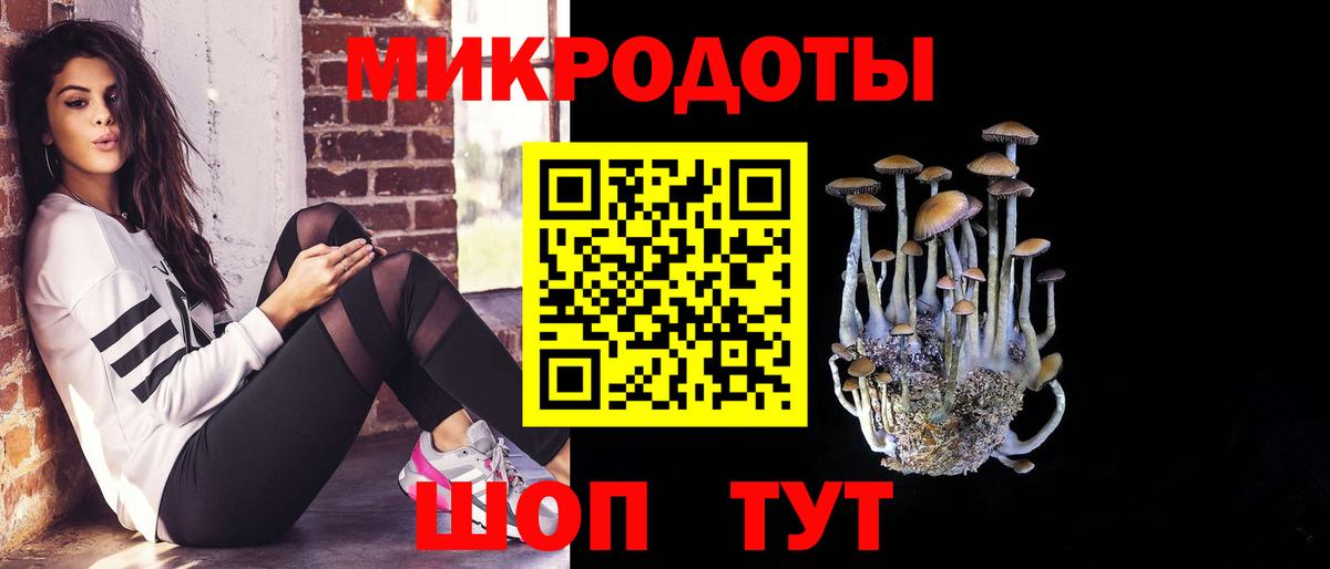 купить наркотик  Вход с VPN  Галлюциногенные грибы Magic Shrooms  Кудымкар  Галлюциногенные грибы Magic Shrooms 
